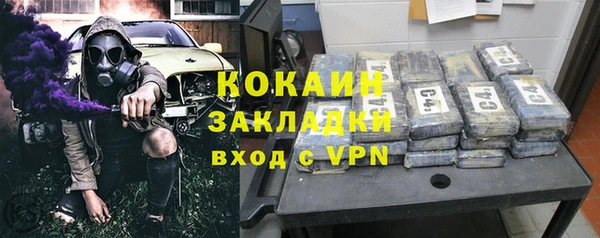 Альфа ПВП Няндома